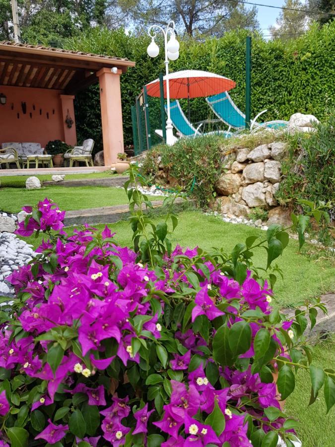 Mas D'Azur Bed & Breakfast โรกฟอร์-เลส์-แปงส์ ภายนอก รูปภาพ